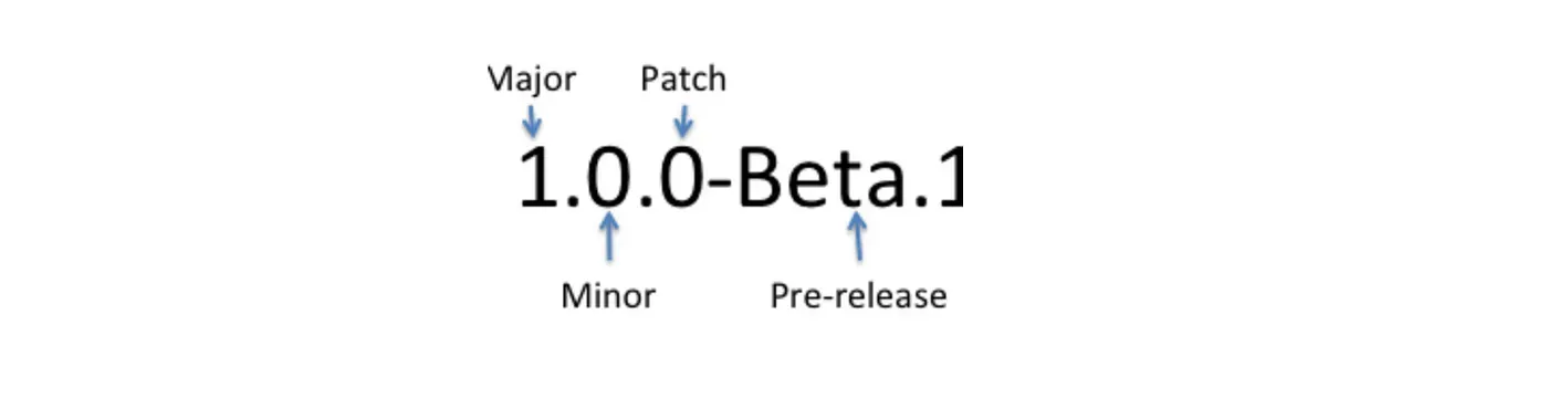 How Version Control Numbering Works?