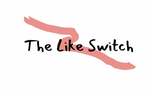 The Like Switch by Jack Schafer & Marvin Karlins
